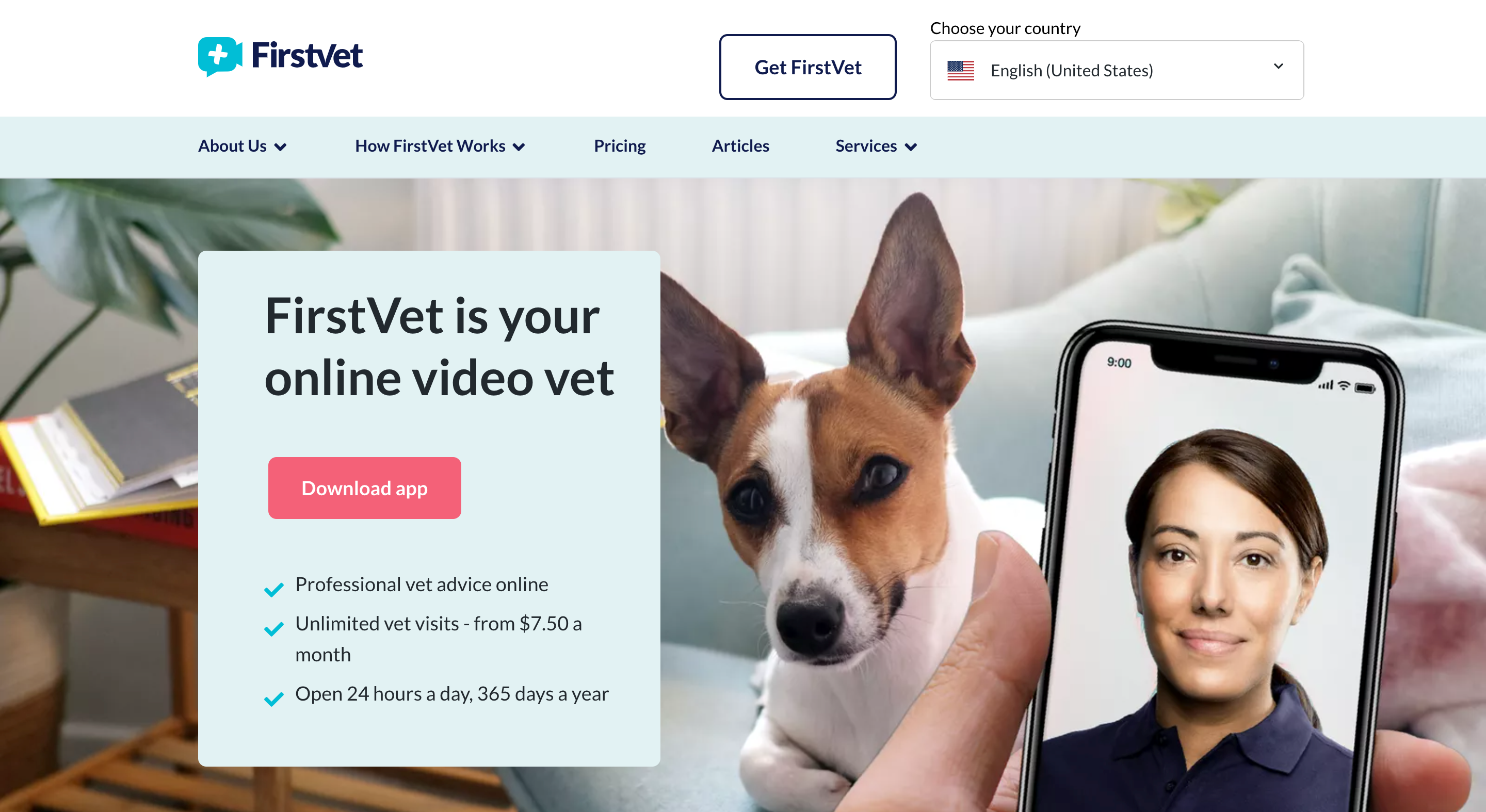 интерфейс FirstVet — экран видео-консультации