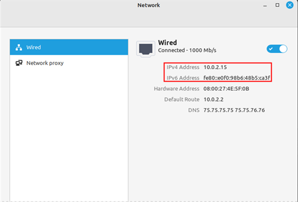 Окно сетевых настроек Linux Mint с адресами IPv4 и IPv6