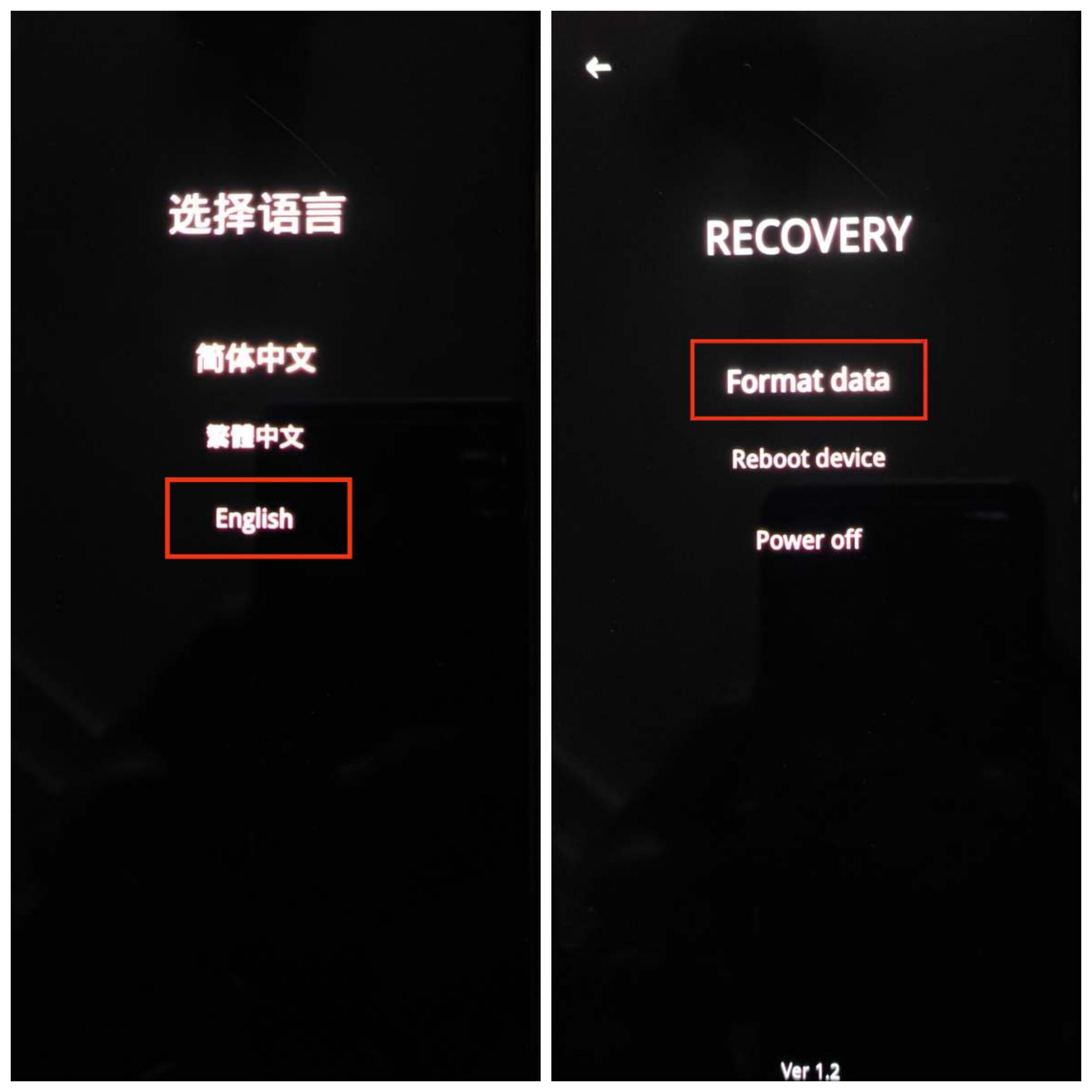 言語選択とデータフォーマットの画面