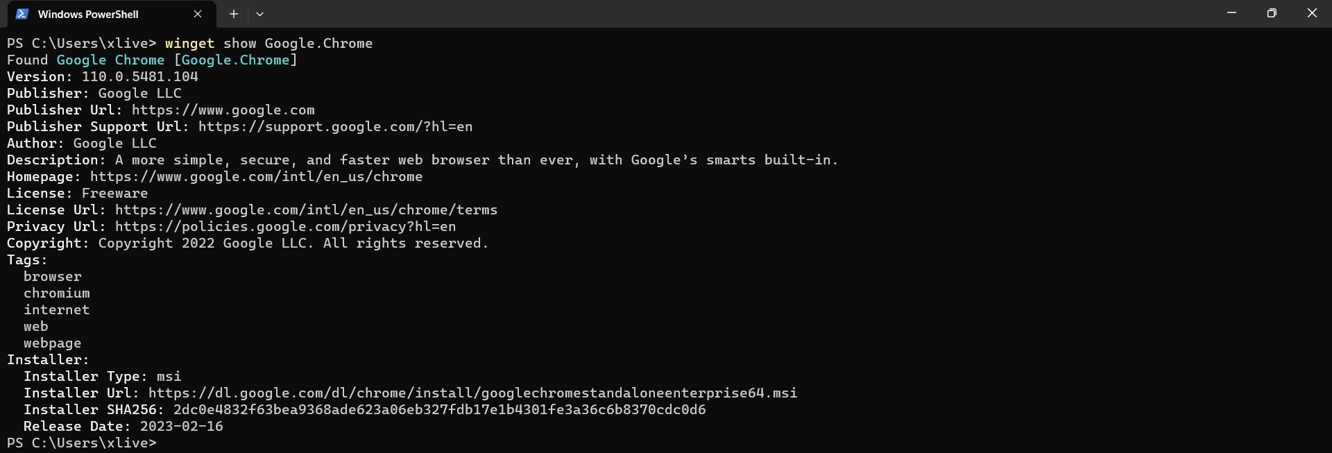 Команда winget show — детали приложения