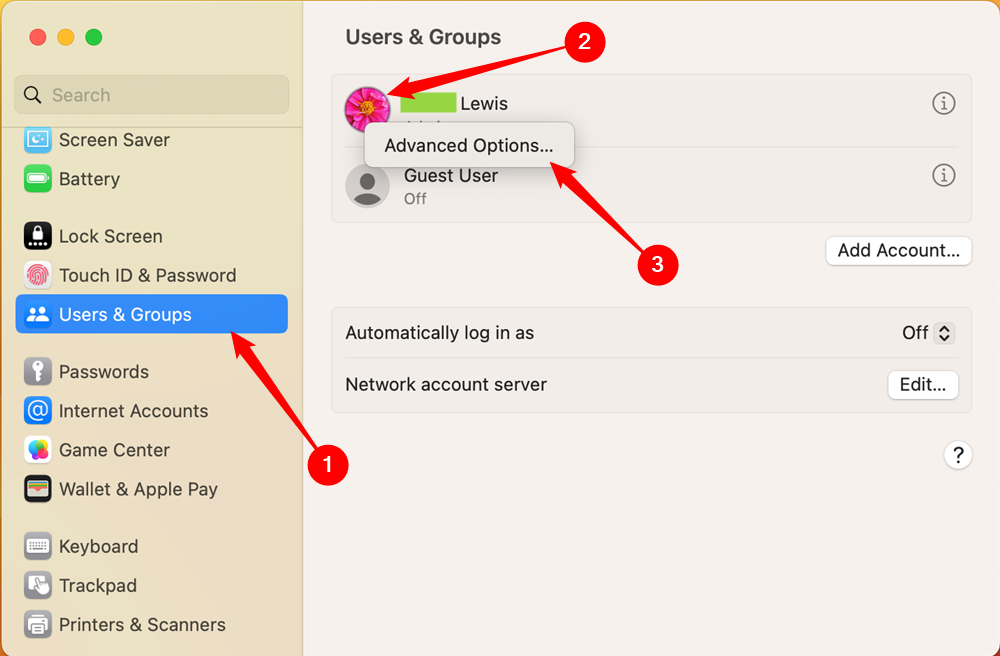 Откройте Users & Groups, Ctrl+клик по профилю, затем выберите Advanced Options.