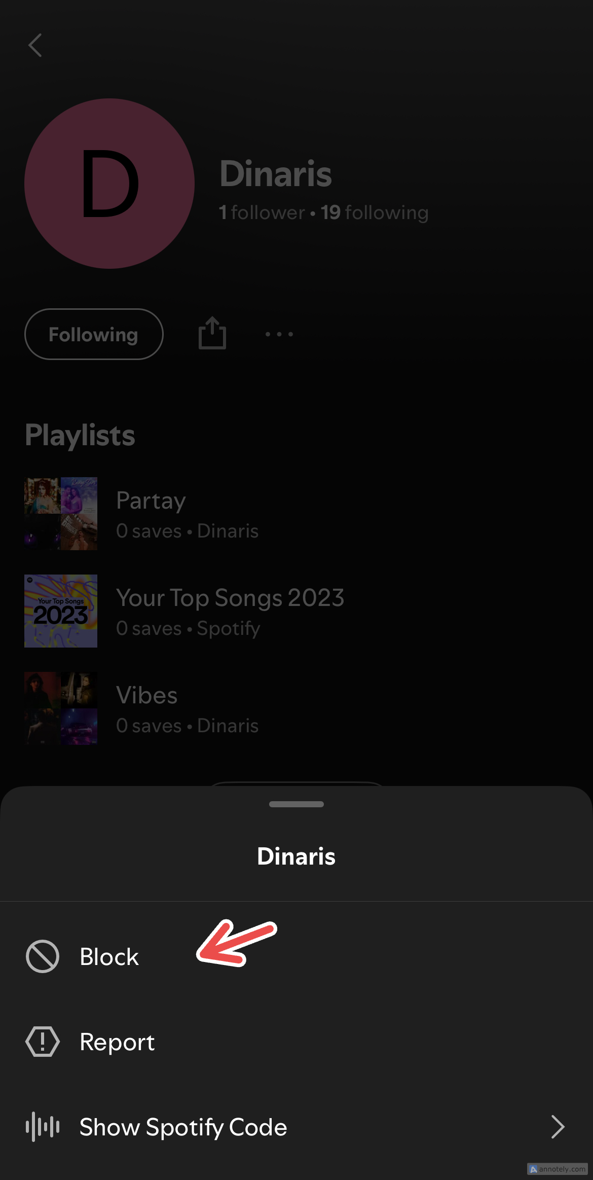 Блокировка пользователя в Spotify.