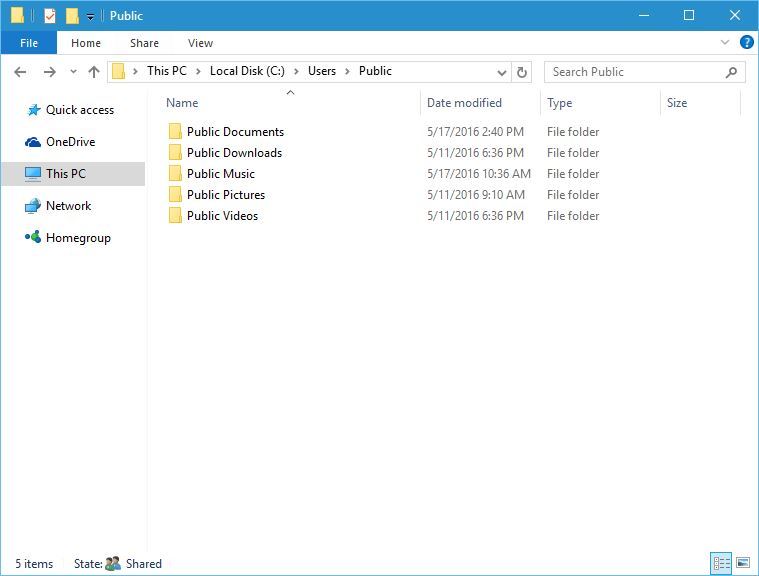 Содержимое папки Public: пустые стандартные подпапки для обмена файлами