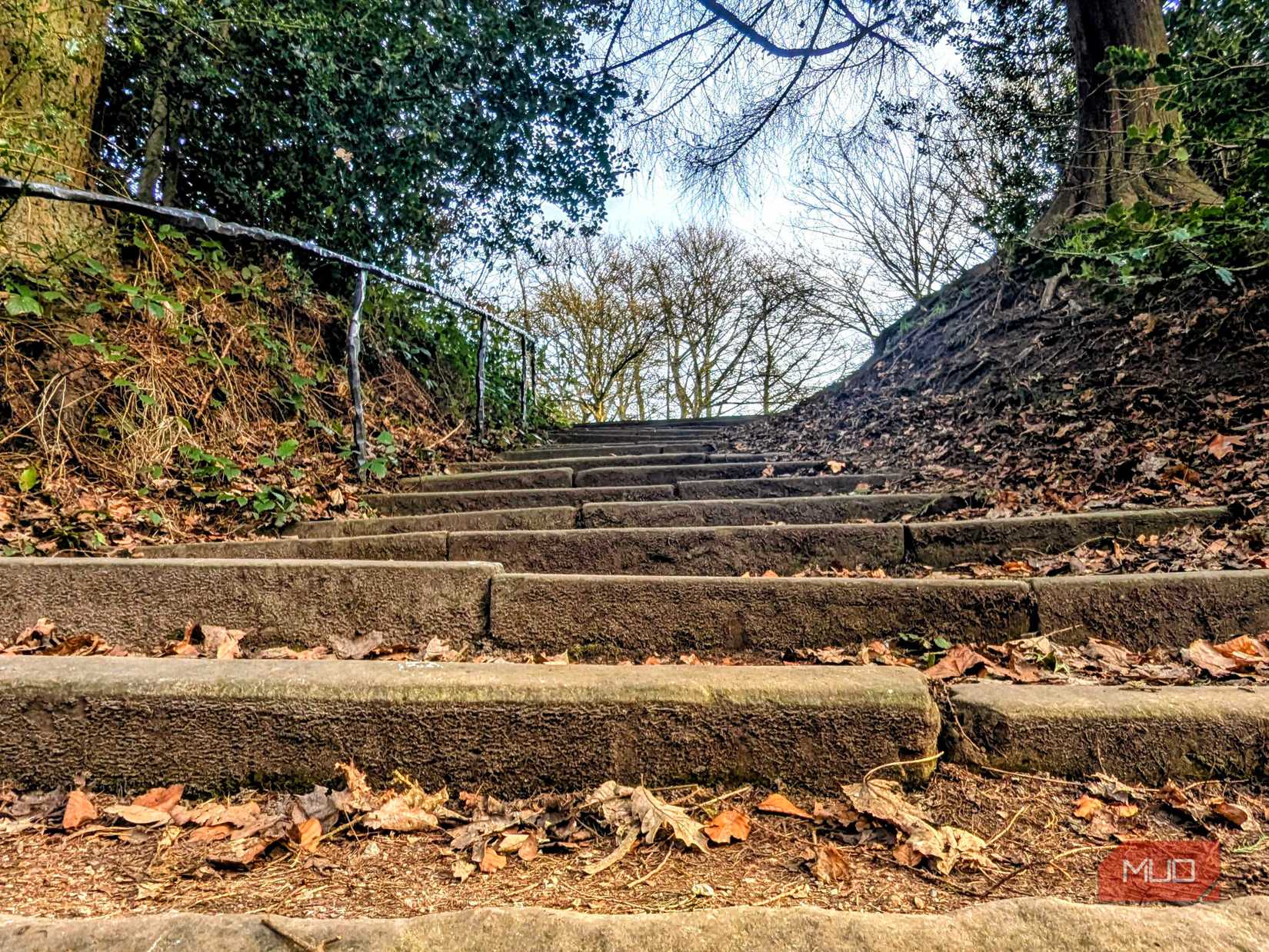 A low-angle shot of some steps in the park