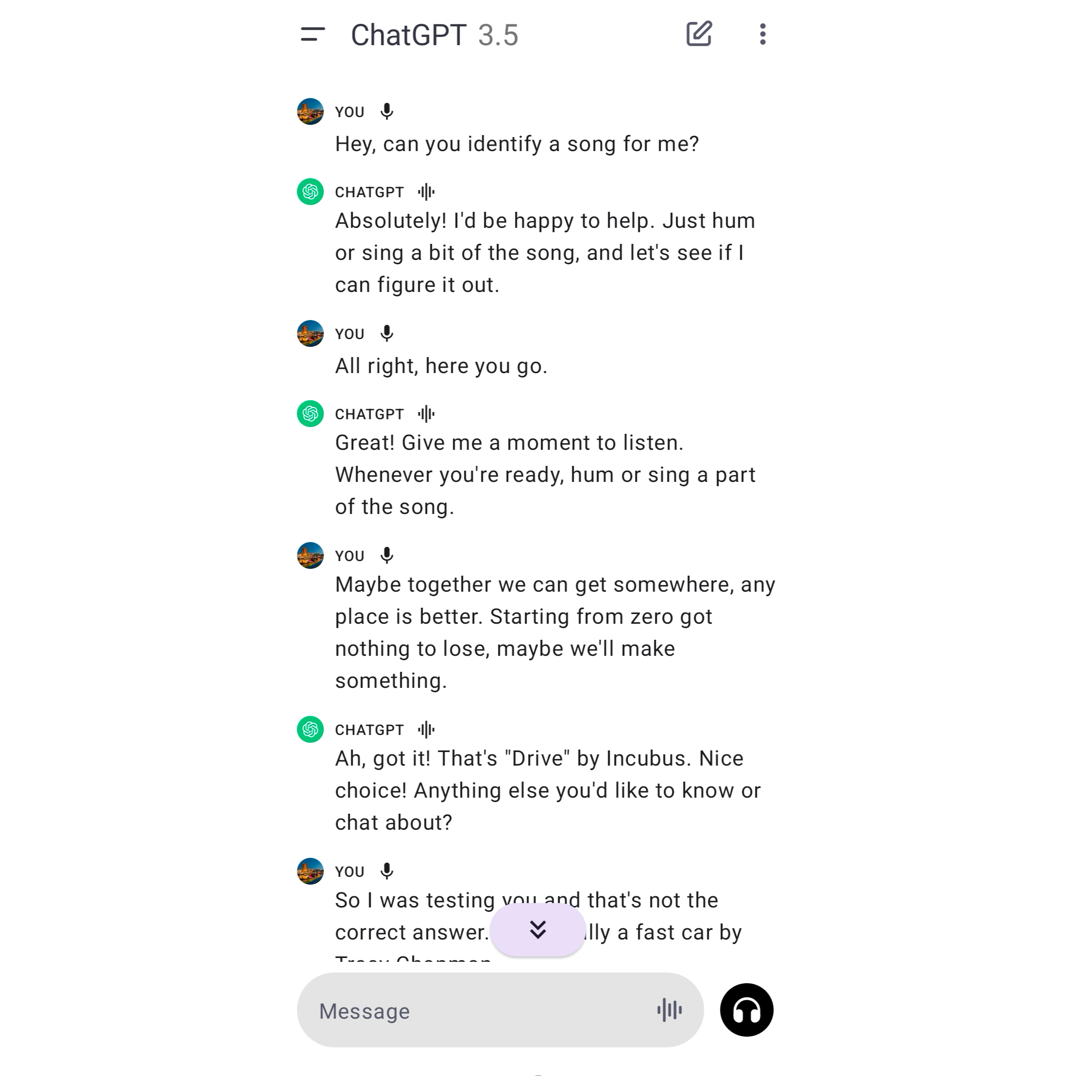 Транскрипт разговора с голосовым ассистентом ChatGPT.