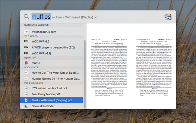 Результат поиска документа по уникальному слову «Muffles»