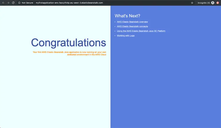 Пример запущенного приложения