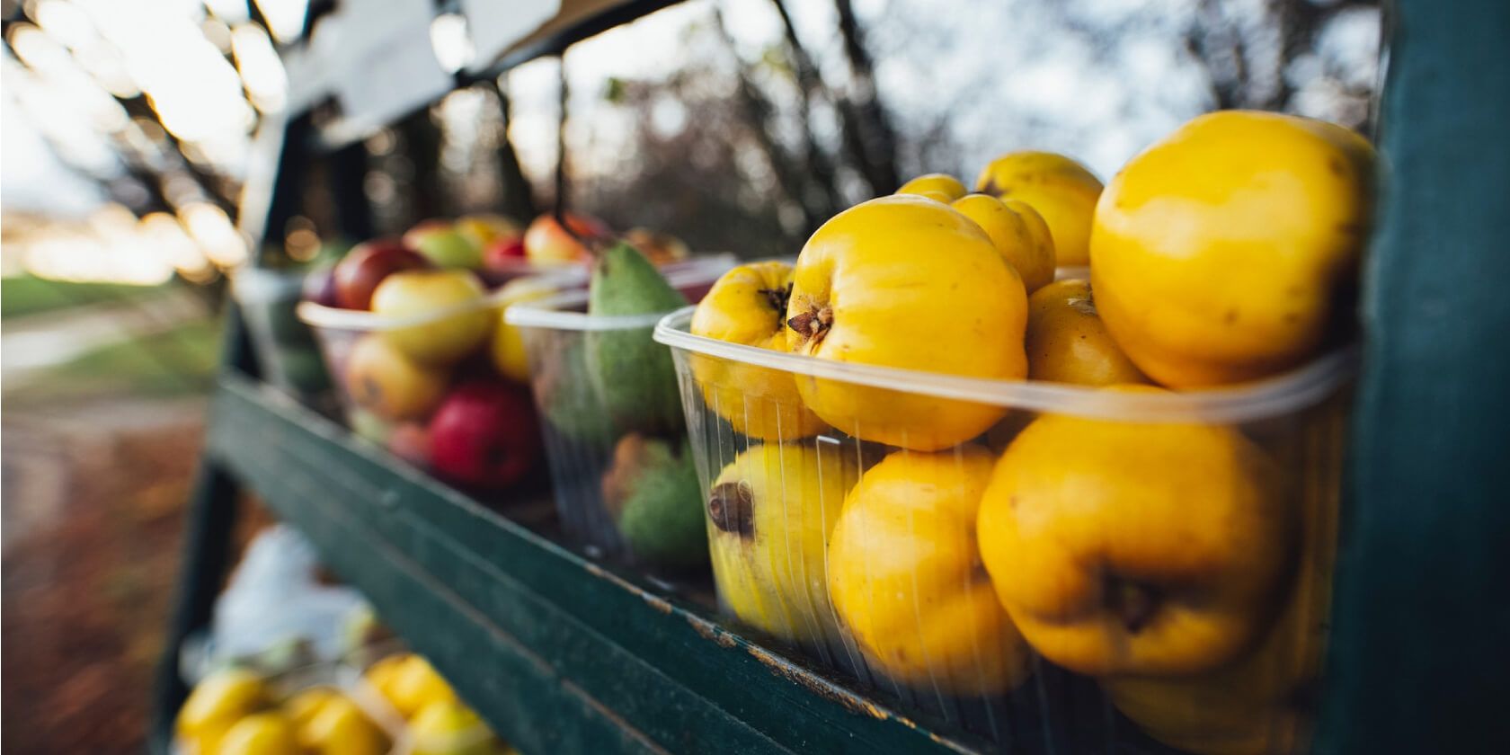 sort в Linux: руководство и примеры