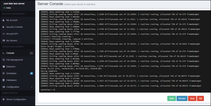 Консоль сервера: вывод логов и управление