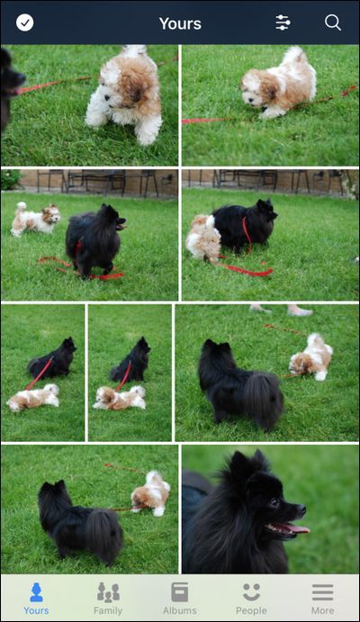 Главный экран мобильного приложения Prime Photos с альбомами и людьми