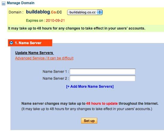 Поля для ввода Name Server на co.cc