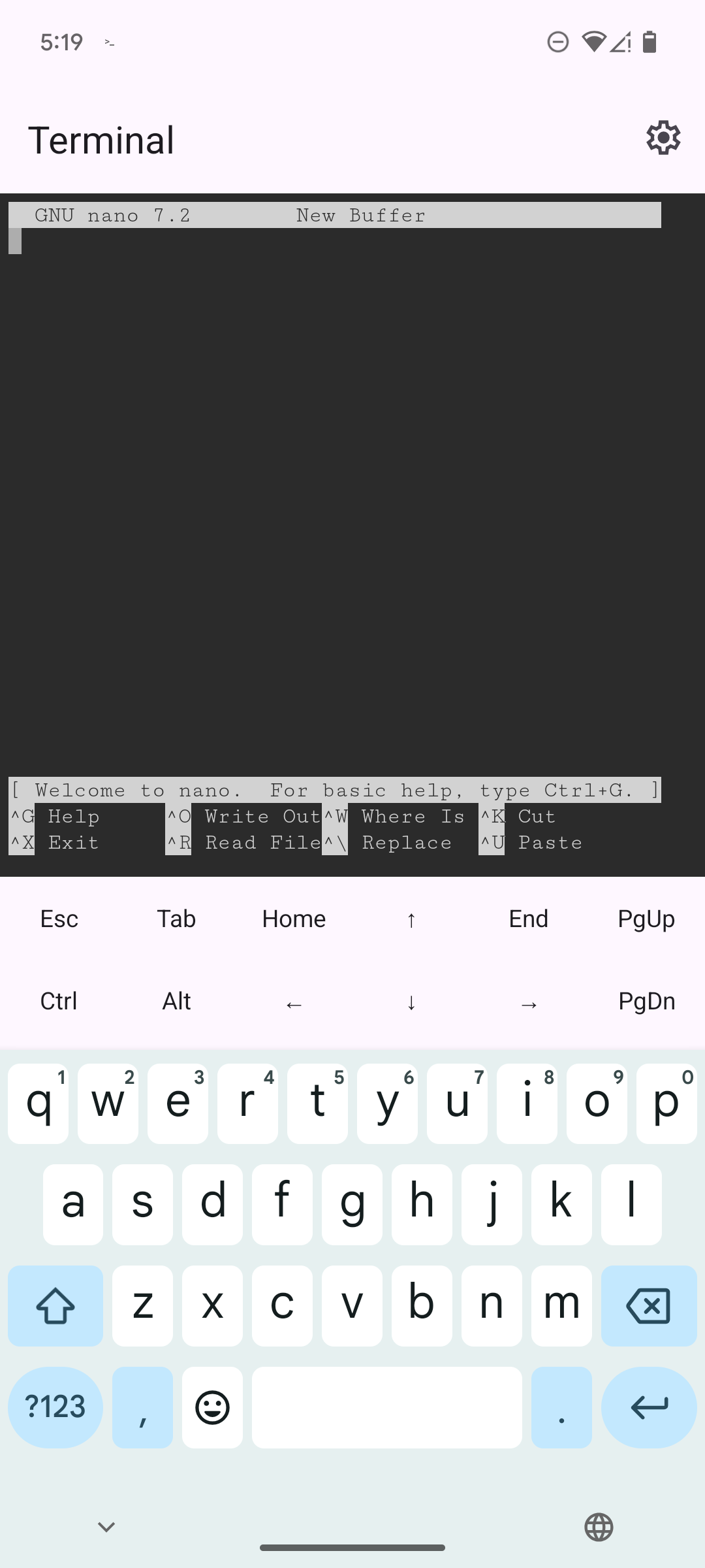 Текстовый редактор Nano в приложении Linux Terminal на Google Pixel 6.
