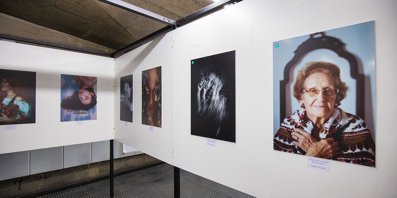 Как показать фотографии в художественной галерее