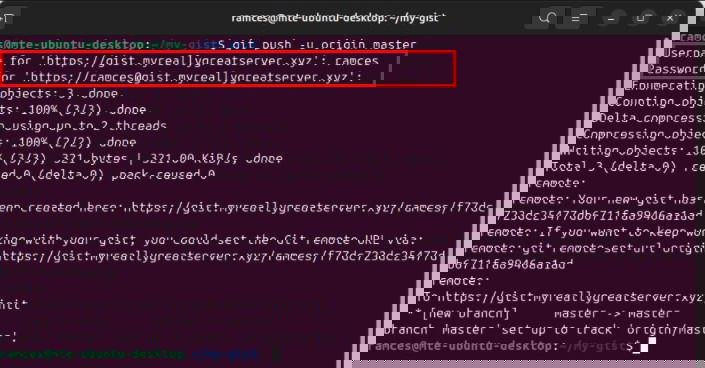 Терминал с подсказкой ввода учётных данных для Opengist.