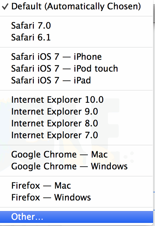Опция Other для ввода кастомного user agent.