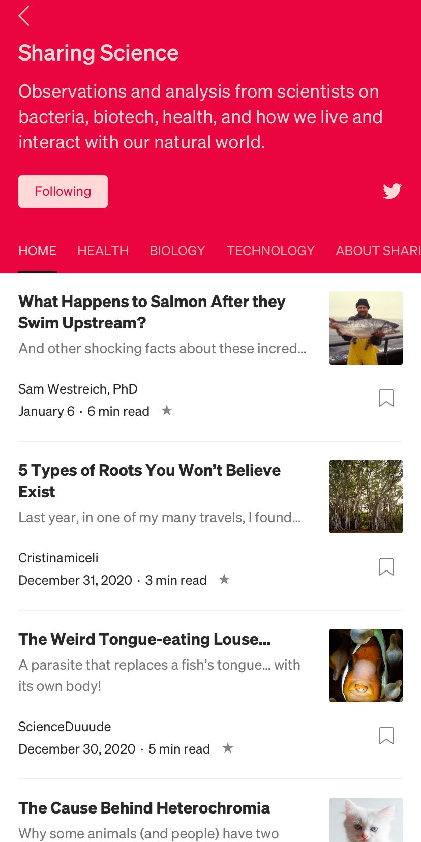 Публикация в научной тематике в мобильном приложении Medium