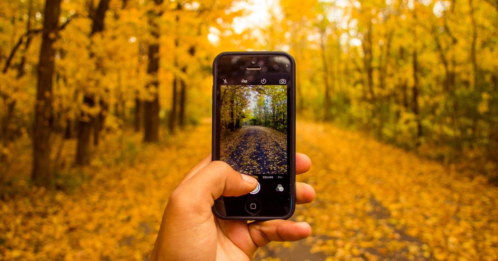 Обратный поиск изображений в Google — инструкция