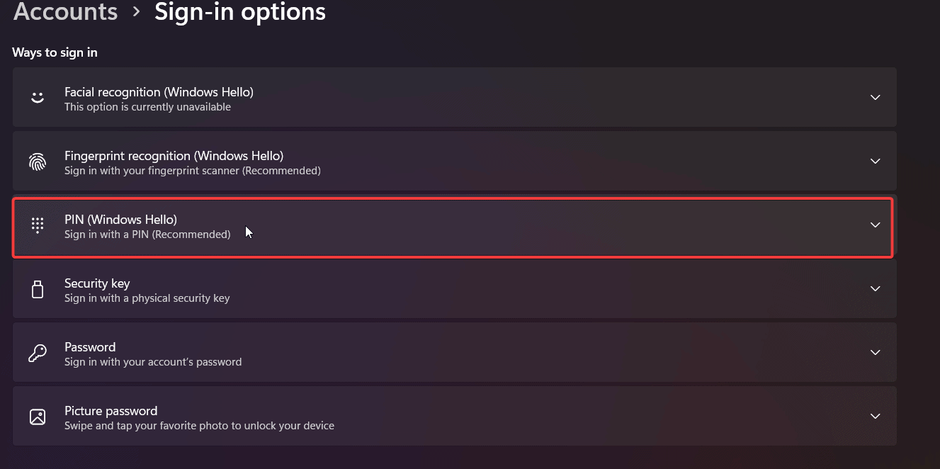 Выбор PIN (Windows Hello) в параметрах входа