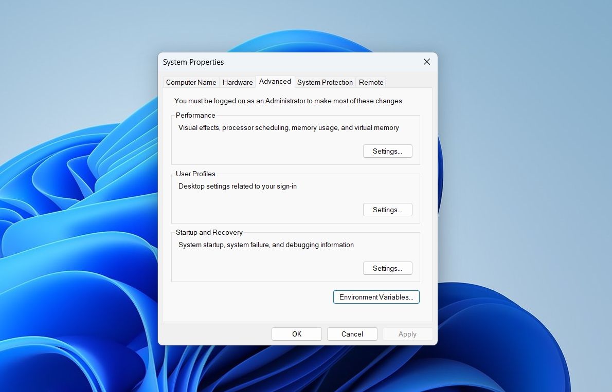 Окно Переменные среды