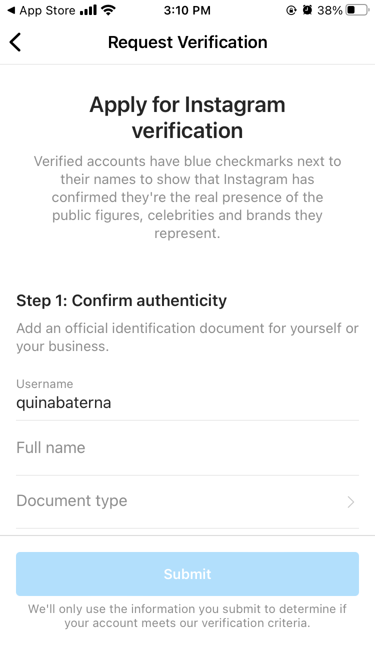 Instagram Request for Verification