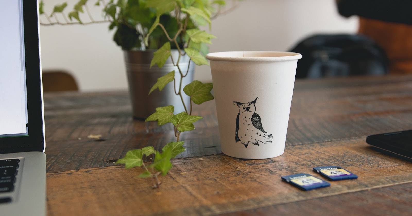 Крупный план края MacBook, нескольких SD-карт, растения и чашки кофе