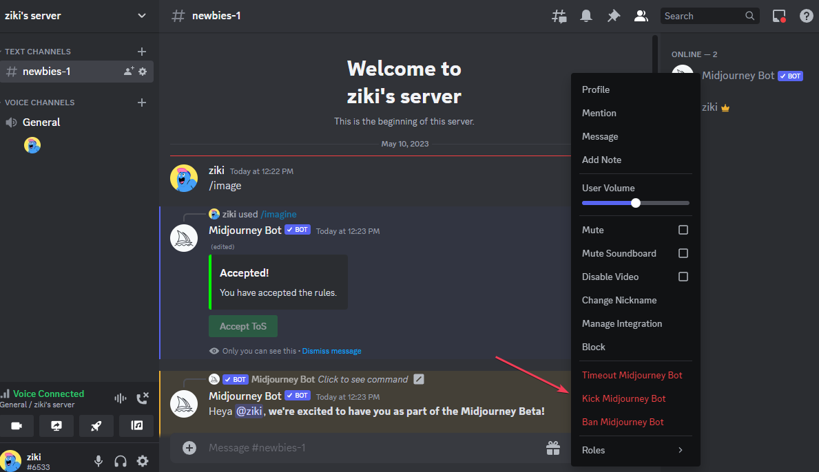 Интерфейс сервера Discord с опцией удаления бота