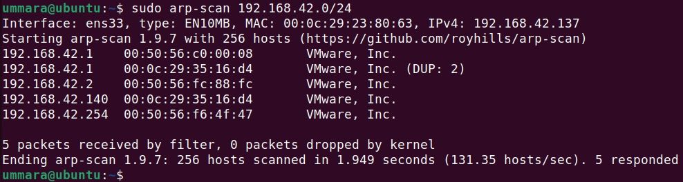 Поиск дублирующего IP с помощью arp-scan