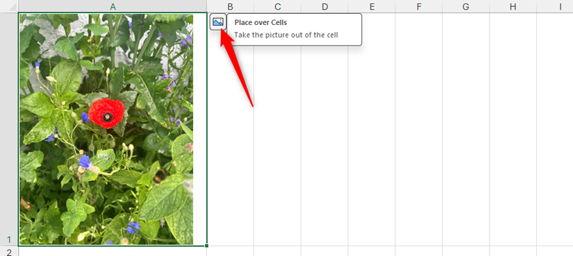Ícone Colocar Sobre Células em uma imagem dentro da célula no Excel.