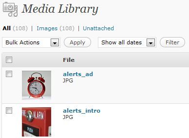 Раздел медиа с загруженными изображениями для шаблона