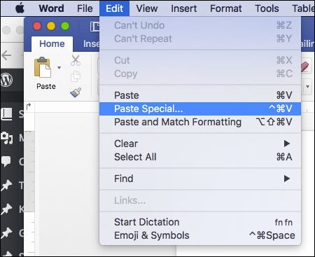Диалог Microsoft Word: Специальная вставка