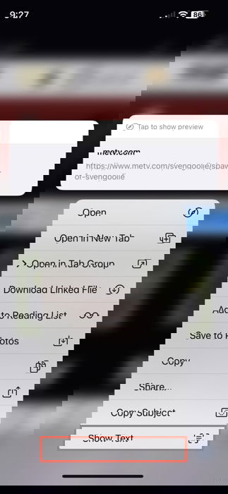 Показать текст в Safari на iPhone