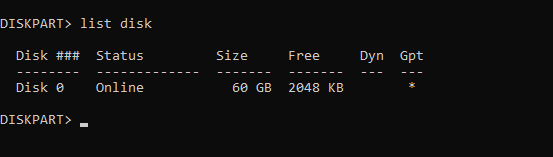 list disk 출력 예