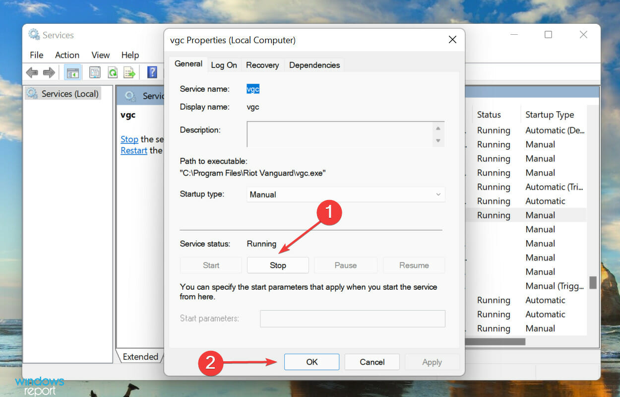 Остановите службу vgc