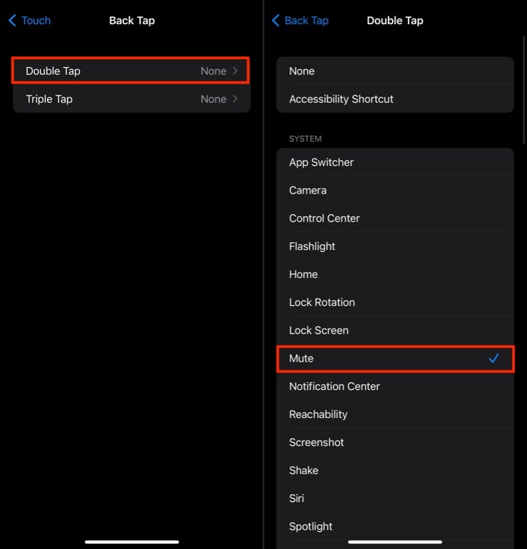 назначение Mute для Back Tap