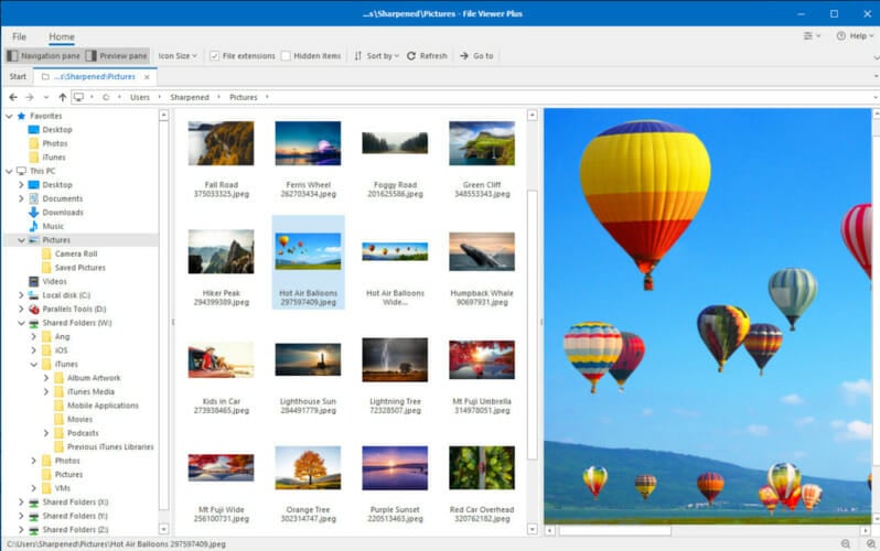 Окно File Viewer Plus с просмотром документа и списком форматов