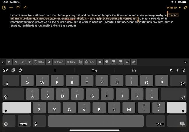 Выделение слова и абзаца на iPad двумя пальцами
