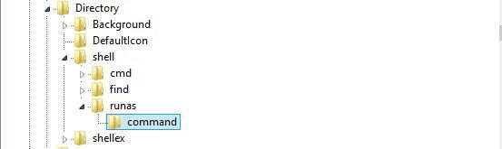 Создайте ключ с именем 'command'.