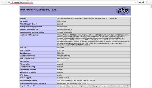 Страница phpinfo от PHP-FPM через Caddy