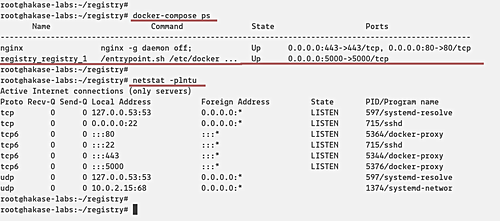 Проверка статуса Nginx и Registry