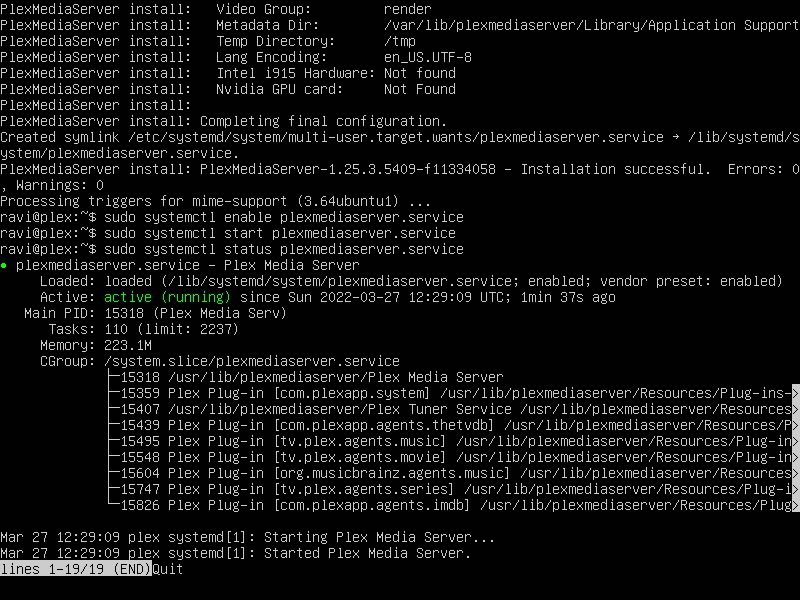 проверка статуса plex service