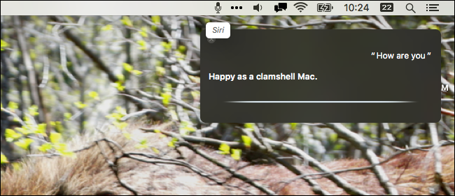 Запуск Siri голосом на Mac