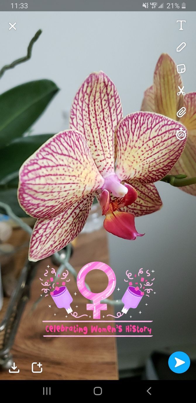 Snapchat Filter Example Women's Day