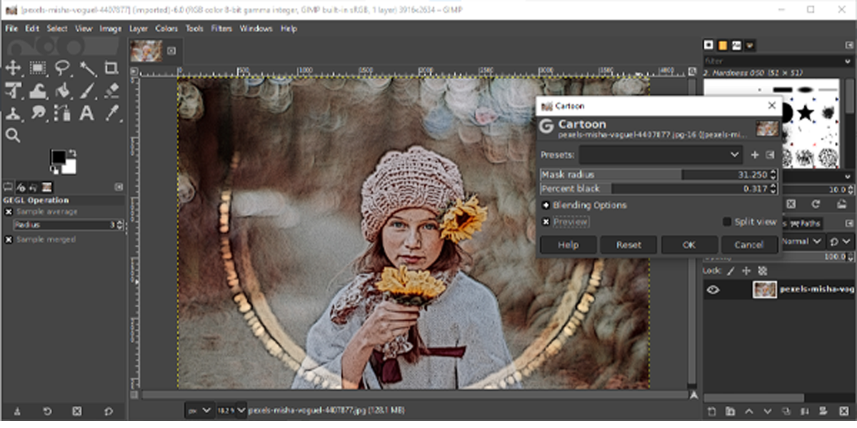 Параметры фильтра Cartoon в GIMP