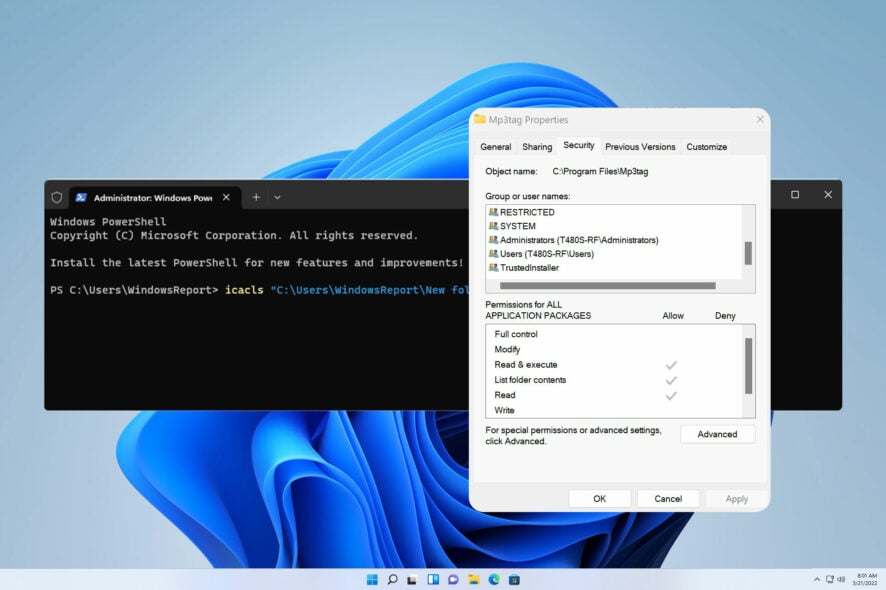 Чтение и запись без удаления в Windows