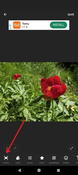 Нажатие Canvas в InShot