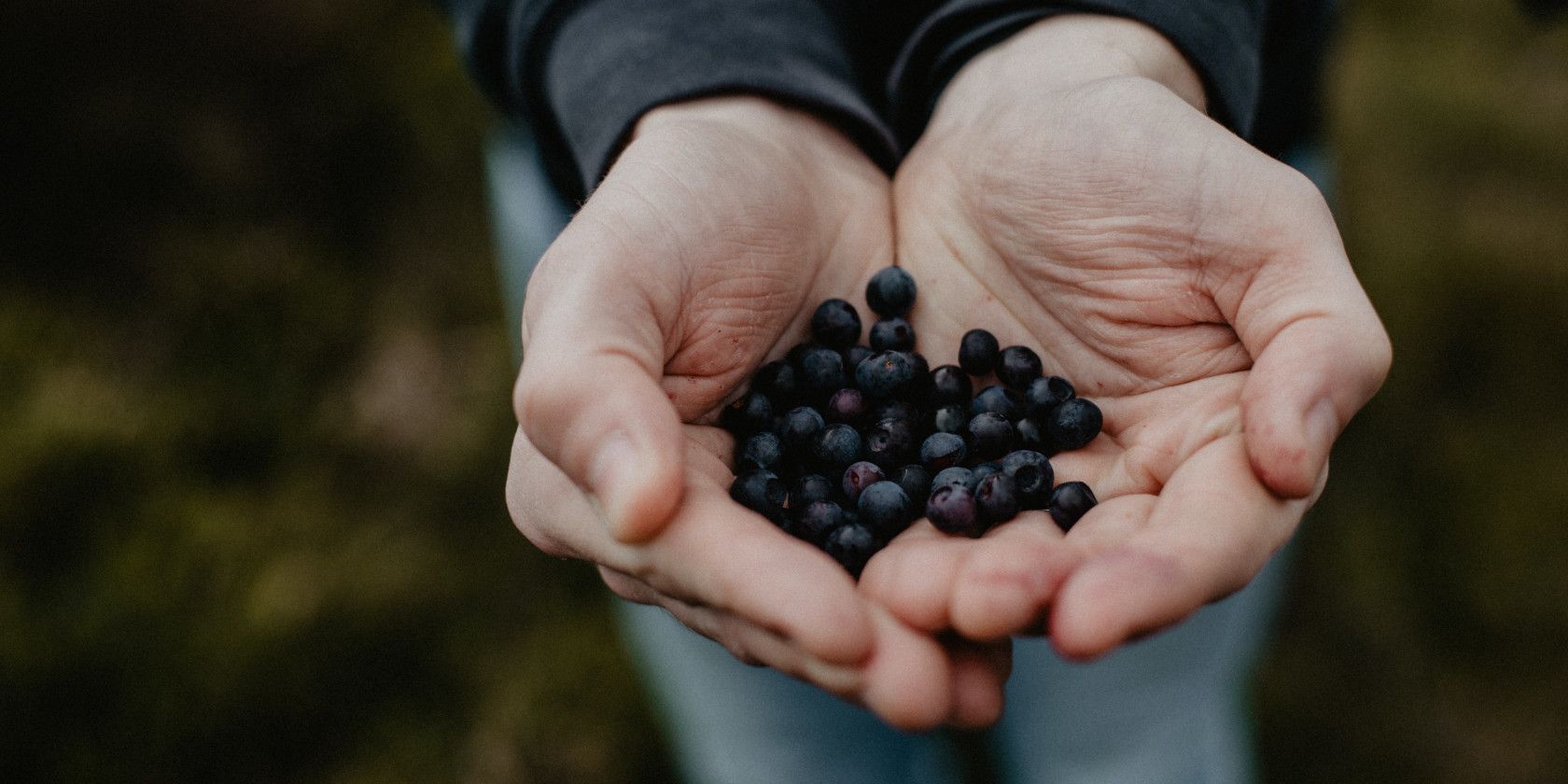 Falling Fruit: карта для поиска дикоросов