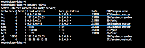 Вывод netstat для порта Nginx (443)
