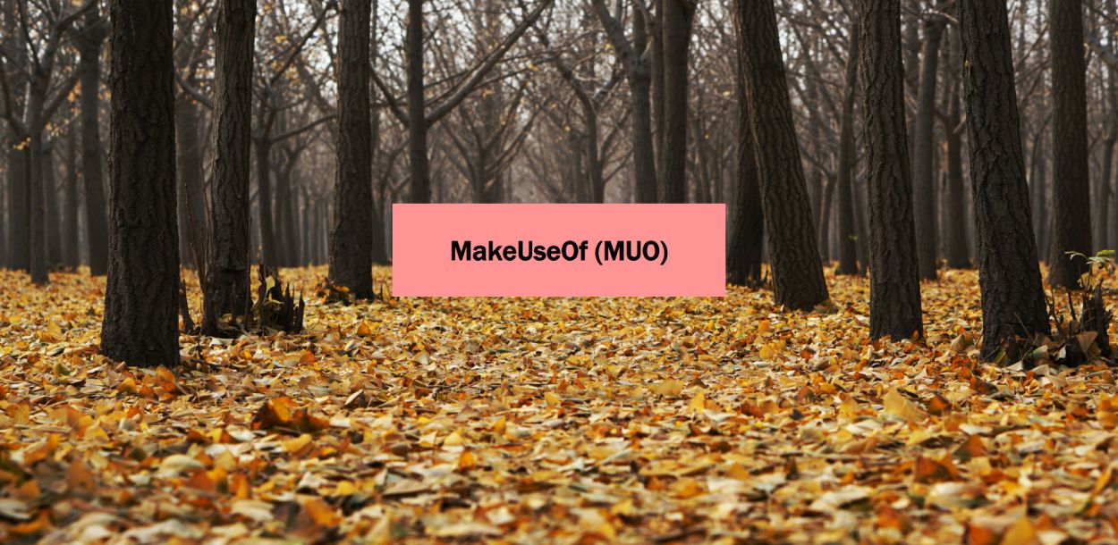 Фон с деревьями, правильно масштабированный и выровненный