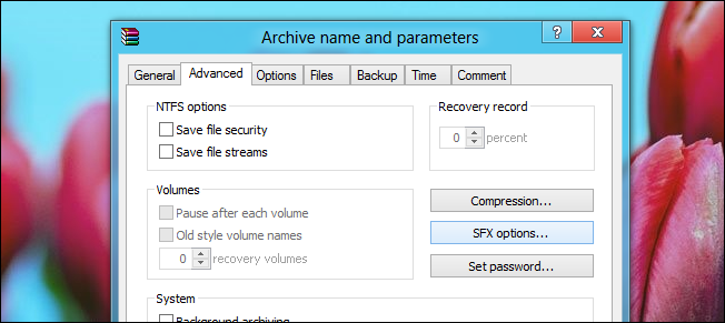 Переход на вкладку Advanced и кнопка параметров SFX