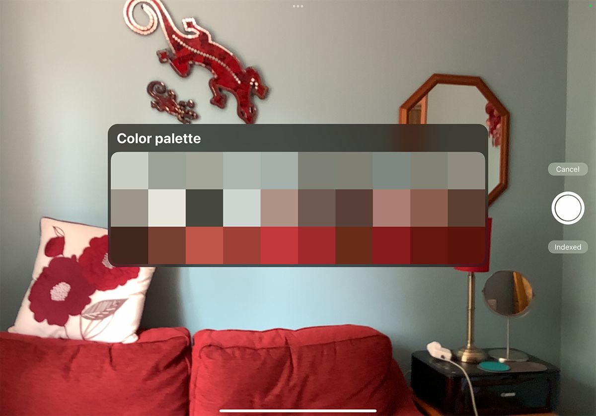 Экран камеры iPad с палитрой в центре и кнопкой спуска.